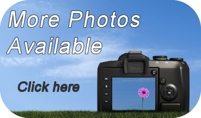 Book Pont Quay Cottage online